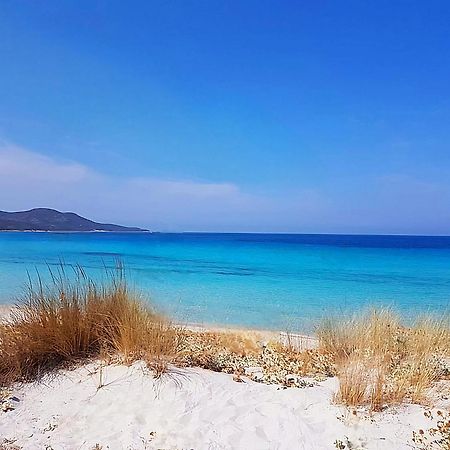 Appartement Vue Sur Mer Santa-Maria-di-Lota Bagian luar foto