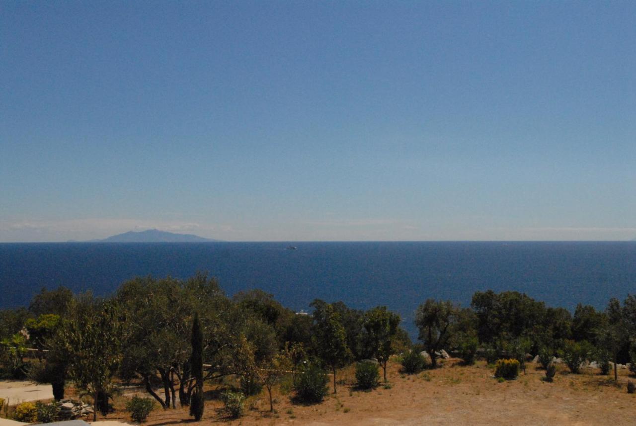 Appartement Vue Sur Mer Santa-Maria-di-Lota Bagian luar foto