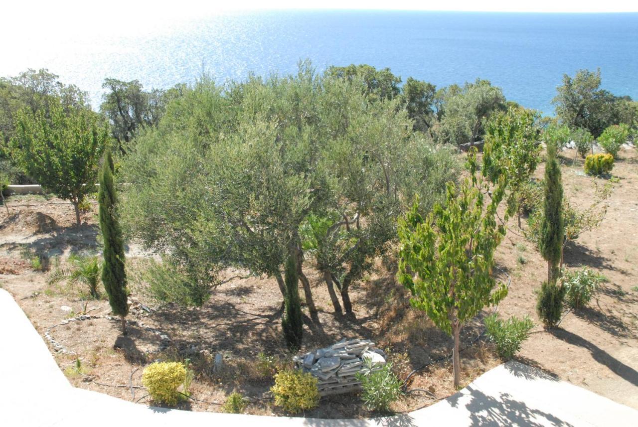 Appartement Vue Sur Mer Santa-Maria-di-Lota Bagian luar foto