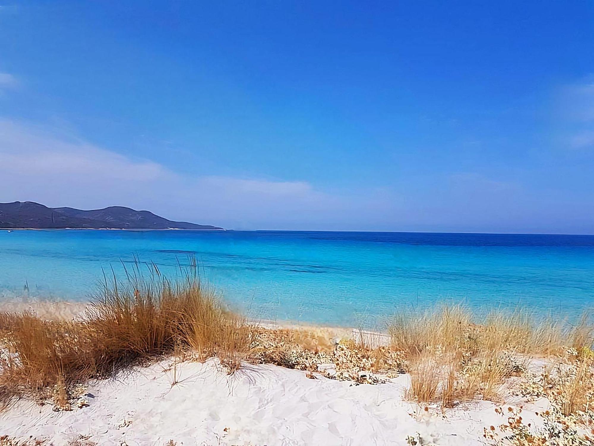 Appartement Vue Sur Mer Santa-Maria-di-Lota Bagian luar foto