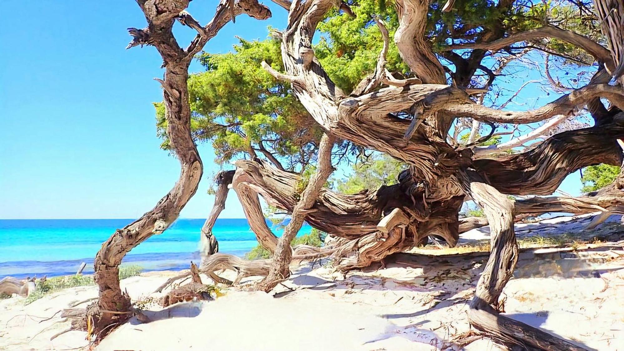 Appartement Vue Sur Mer Santa-Maria-di-Lota Bagian luar foto